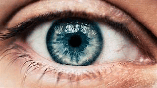 eye