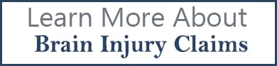 learn more about brain